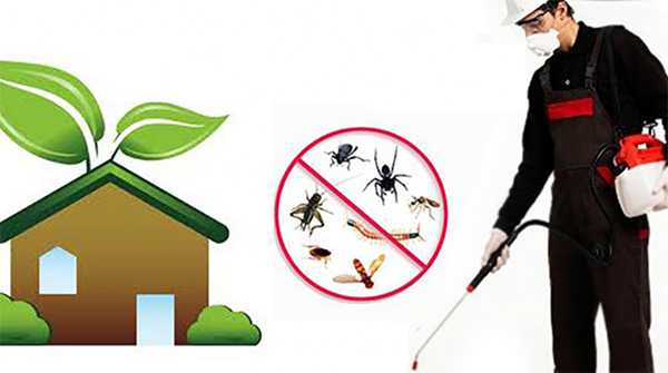 Kapos-Services - Βιοκαθαρισμοί - Απολύμανση - Απεντόμωση