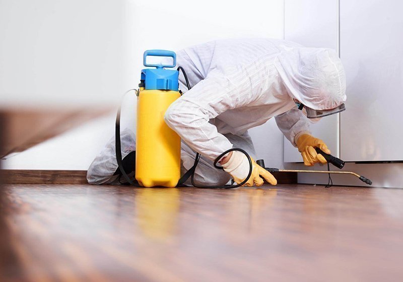 Kapos services - Απολύμανση - Απεντόμωση - Μυοκτονίες